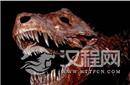 揭秘恐龙庞大身躯之谜：与软骨层有密切关系