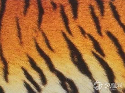 被子发展历史到底是什么样 古人冬天是怎么取暖的