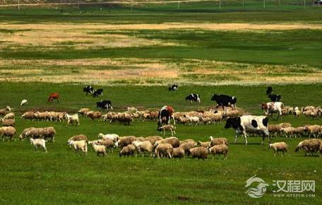 中原王朝在面对北方游牧民族大胜后，缴获的牛羊是怎么处理的？