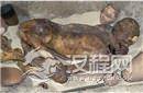 揭秘古代木乃伊制作鲜为人知的防腐保鲜机密