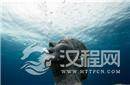 科学家也难解读的谜团：神秘莫测的海底人