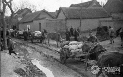 1942年河南大饥荒是怎么爆发的 根本原因出在什么地方