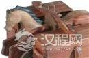 诸葛亮发明的木牛流马为什么却没有流传下来？