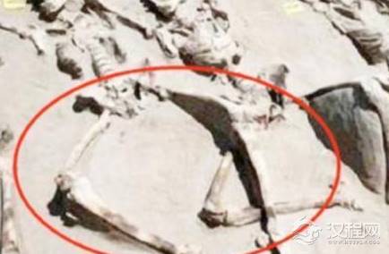 古代殉葬的妃子双腿为什么都是打开的 妃子为什么不都反抗就陪葬了