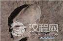 揭秘千年葬墓出土异形头骨：疑是外星人