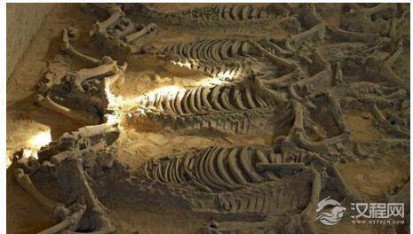 震惊：王爷墓里竟藏着不为人知的封建黑暗