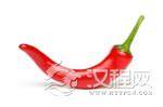 辣椒直到明朝末年才进入中国 曾被当做观赏作物