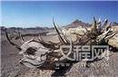 揭秘二千年前神秘的楼兰古国是如何消亡的?