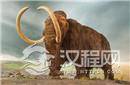 研究显示 陨石撞地球或是猛犸灭绝原因
