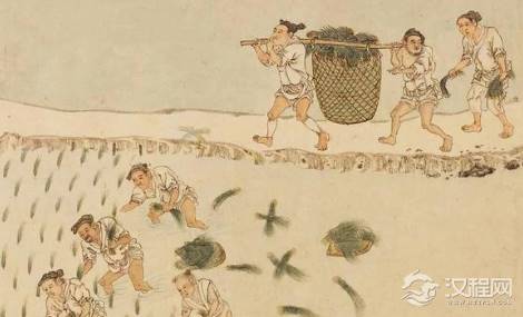 屯田制到底是什么？三国政权为什么都要实行屯田制？