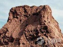 鬼吹灯之精绝古城大探秘 精绝古城到底是不是真的？