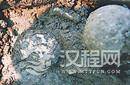 考古发现汉朝陪葬鸡蛋 推测距今有2000多年