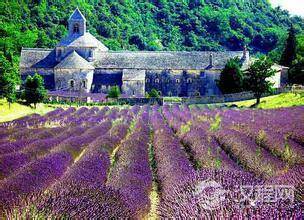 薰衣草之都普罗旺斯是什么样的