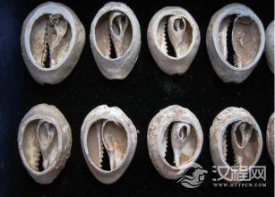 古代的钱币什么样？古代的钱和币是同一回事吗