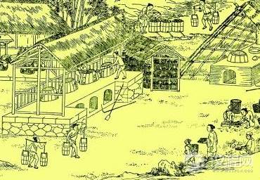 经济文化：是世界上最早进入农业文明的国家之一