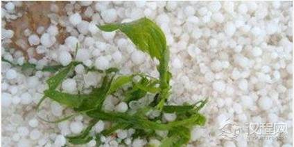 冰雹是怎么形成的？为什么夏天会出现冰雹?