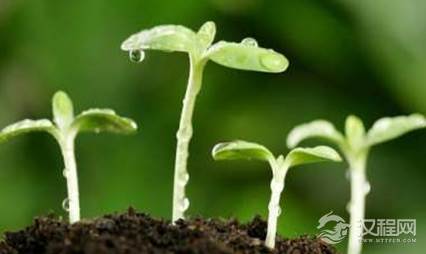 春天到了，但中国民间为何一直有“春捂秋冻”的说法？