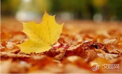 立秋降温最大的法宝是什么？关于立秋下雨有哪些说法？