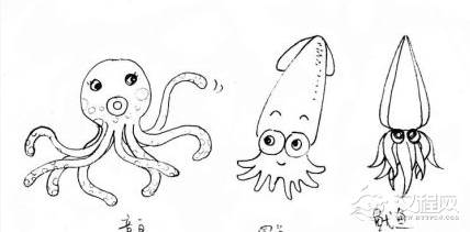 章鱼、鱿鱼、乌贼属于哪一类？这三种生物到底有什么区别？
