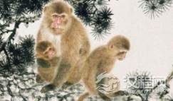“山中无老虎，猴子称大王”,十二生肖中猴的故事