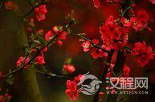 为什么农历月中有时会有三个连续的大月?