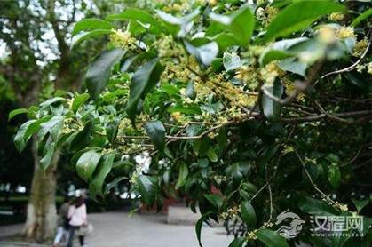 秋分和立秋的区别在哪里？到底哪一个才是秋天？