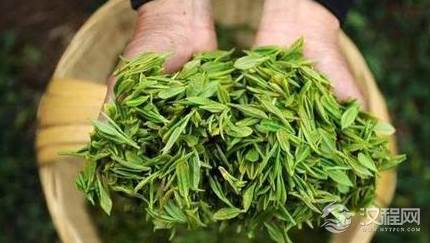 茶在唐代陆羽著《茶经》之前是怎么写的？它还有哪些称呼？