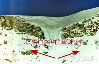 遇见雪崩该如何自救？自救的方法有哪些？