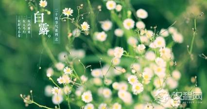 白露时节为什么要养生？白露时节养生的方法有哪些？