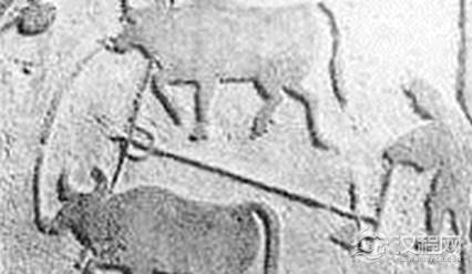 东汉的牛耕技术受到普遍重视，在《四民月令》中有何记载？