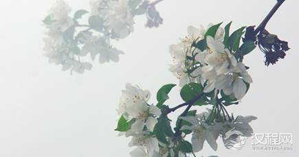 花朝节的节日风俗有哪些？各地的习俗是怎么产生的？