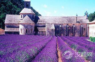 揭秘：法国的普罗旺斯究竟有多美