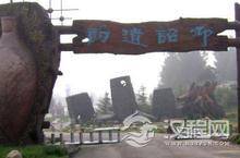 仰韶文化是我国历史上哪个时代中期的文化?