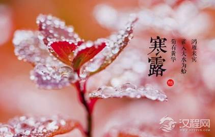 寒露时节的气候有哪些特点？寒露主要分为哪三候？