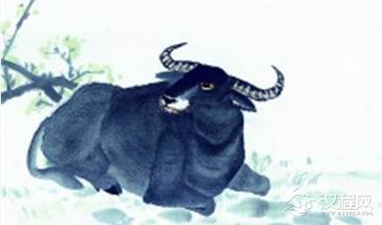 关于牛的生肖神话有哪些？各地区的民俗是怎样的？