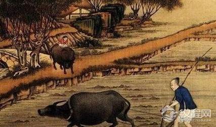 在孝文帝改革之前，北魏的税收主要以哪些租调为主？