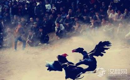 斗鸡最早起源于什么时候？唐代的《东城老父传》中如何记载？