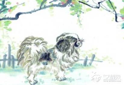 关于狗的生肖神话有哪些？各地区的民俗是怎样的？