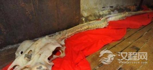 龙骨现身引发恐慌 难道我们真的是龙的传人？