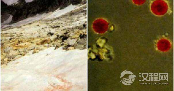 阿尔卑斯山的血脚印