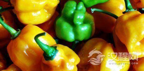 世界上最辣的辣椒