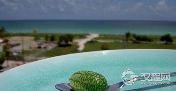 世界上最小的西瓜