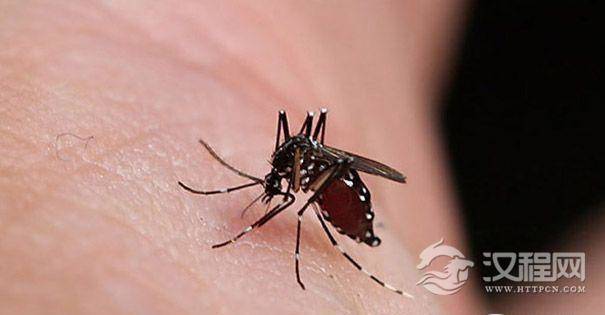 蚊子咬人
