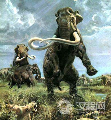猛犸象