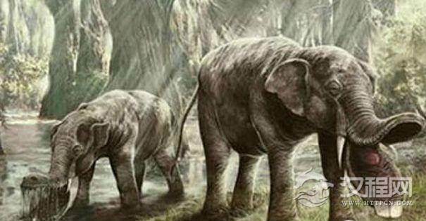 惊叹不已!动物七大最神奇的进化祖先