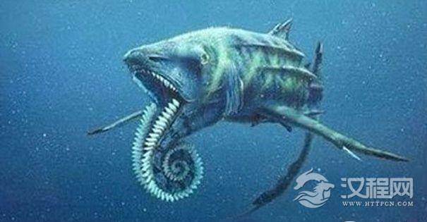 旋齿鲨
