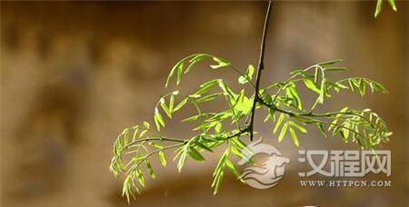 古人设置二十四节气的立春有什么意义吗？