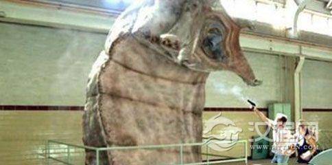 6JKZ5Y+k5q275Lqh5LmL6Jmr