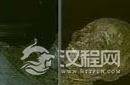 考古发现：揭秘丝绸之路上的千年不腐干尸
