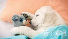 睡觉有讲究：床头朝西会“消耗体能”睡不好